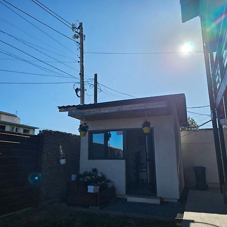 Vila Natalia Vama Veche Exterior foto
